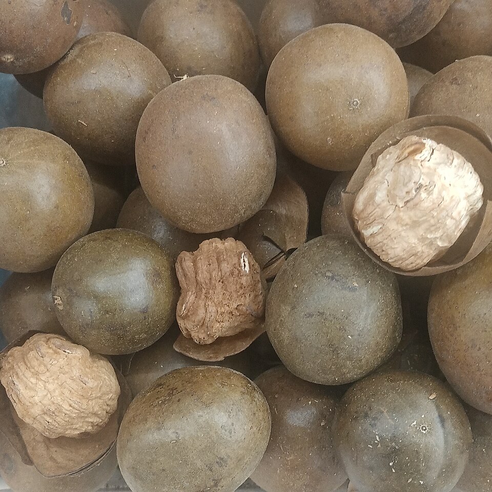 By François Nguyen - https://www.flickr.com/photos/198613871@N06/53505533976/, CC BY 2.0, https://commons.wikimedia.org/w/index.php?curid=144952706