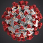 Coronavirus Illustration