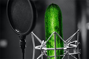 Ernaehrungspodcast