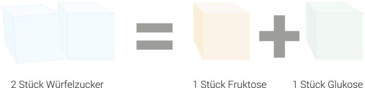 Zucker besteht aus Fructose und Glucose